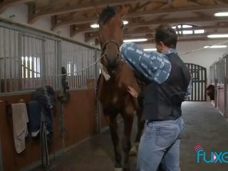 Tera öröm lovaglás ló tovább farm